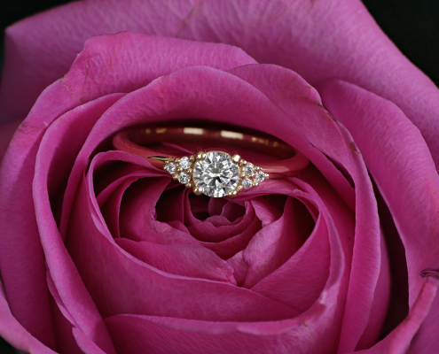 9011-1,7K Fattning Petronella 1x0,40 & 6x0,01 ct