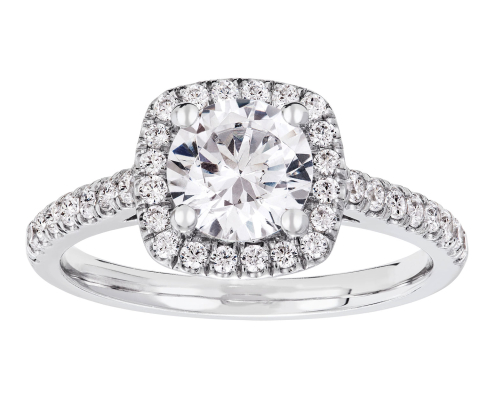 20122844 - Albrekts Guld