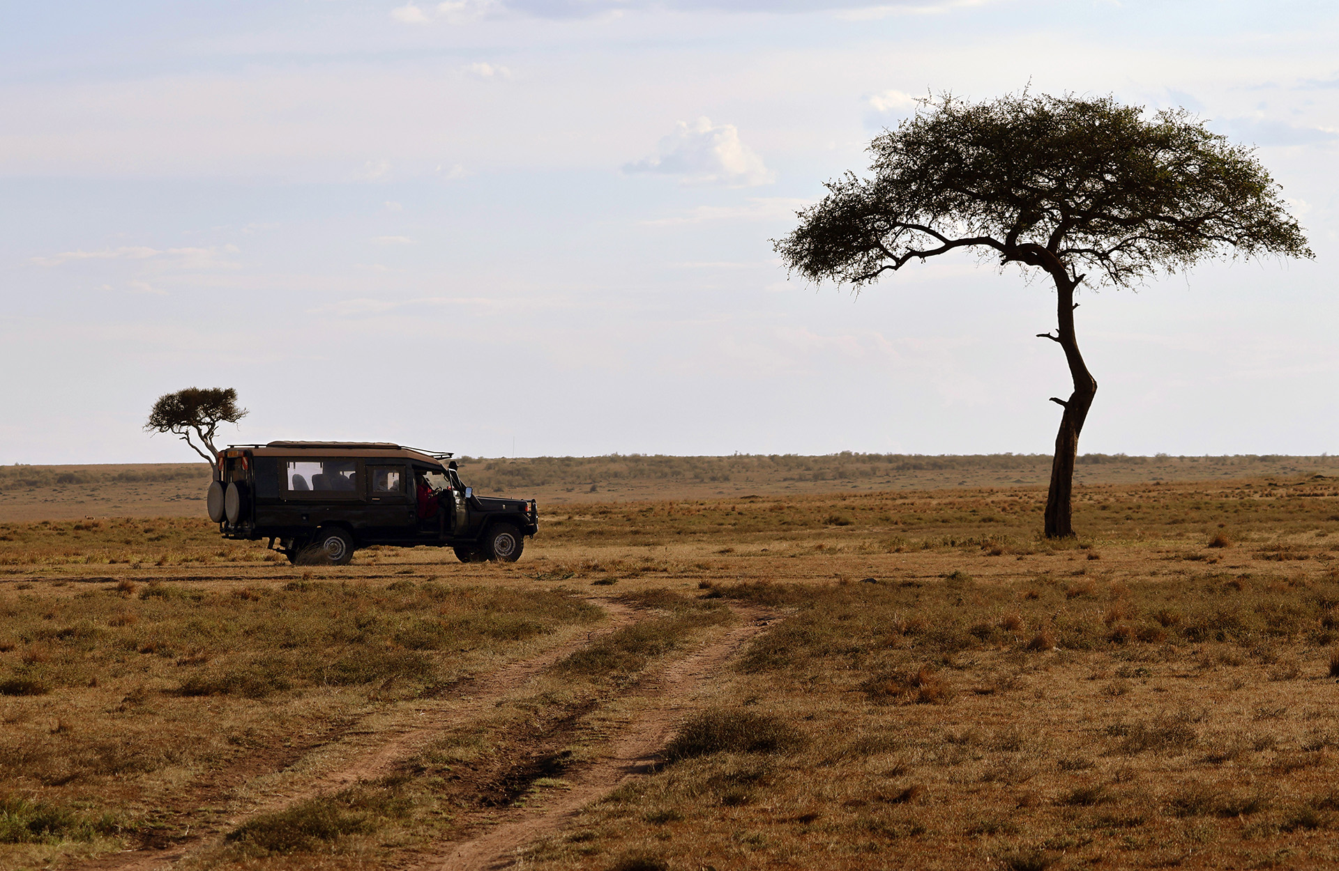 Safari i Kenya - Great Plains Conservation